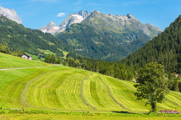 Swiss mountains with green land landscape