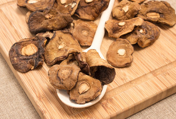 Dried mushrooms on canvas