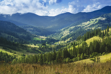 Carpathian mountain landscape - obrazy, fototapety, plakaty