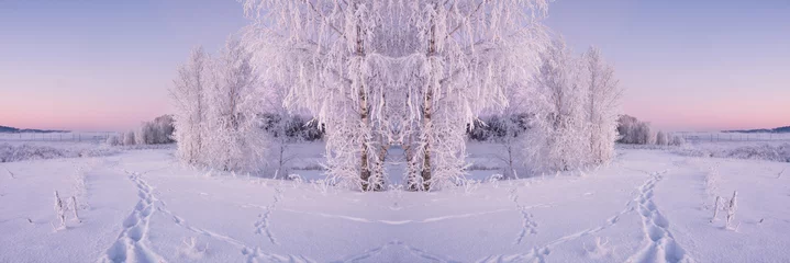 Washable wall murals purple Frosty trees illuminated by the rising sun . Cristal white winter morning . Frozen birch on snowy riverside . Misty sunlight . Creative idea of landscape . Perfect reflection .
