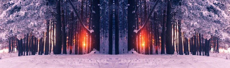 Fotobehang Lichtroze Frozen dragon. Frosty trees illuminated by the rising sun . Cristal white winter morning . Frozen birch on snowy riverside . Misty sunlight . Creative idea of landscape . Perfect reflection .  © alexugalek