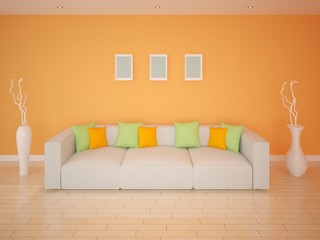 Contemporary orange living room with sofa.