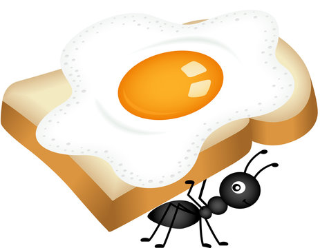 Ant carrying sandwich from fried egg