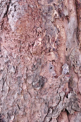 texture