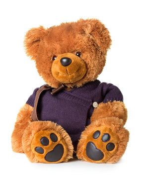 Teddy bear wearing a cardigan