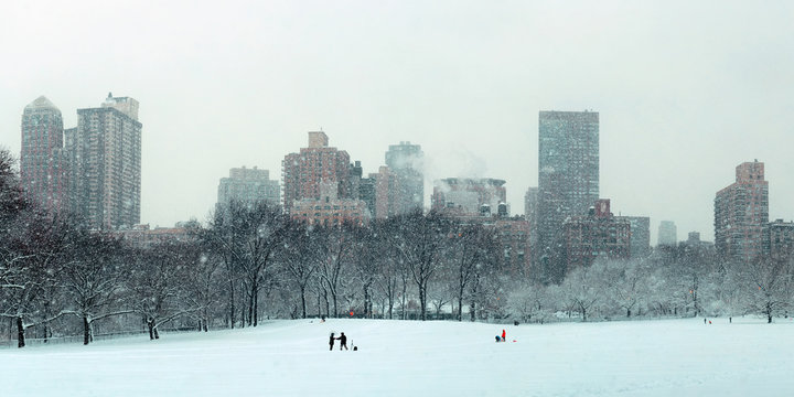 Central Park Winter