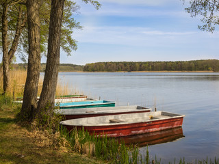 Ruderboote am Ufer eines Sees in Brandenburg
