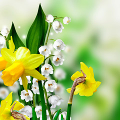 summer landscape. lily of the valley. narcissus