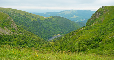 Meadows in mountains in summer