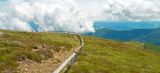 Meadows in mountains in summer