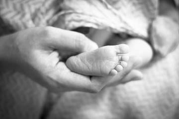 Newborn baby foot