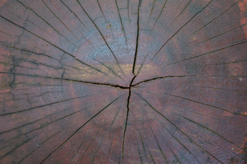 broken wood closeup