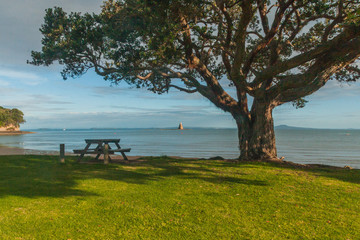 Naklejka na ściany i meble a bench overlooking the sea, Whangaparaoa, Auckland, New Zealand