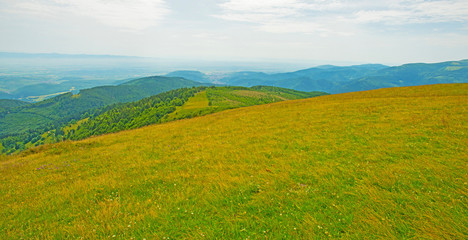 Meadows in mountains in summer