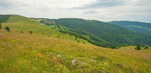 Fototapeta na wymiar Meadows in mountains in summer