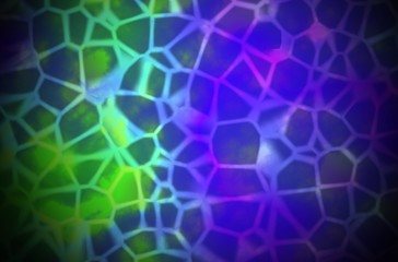 Abstract Colorful organic Illustration of skin cells or reptile skin
