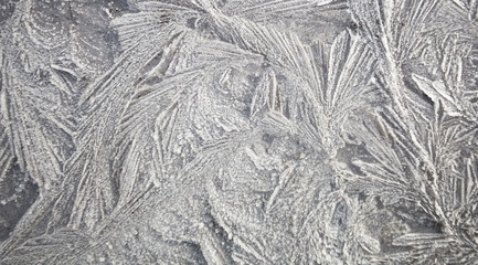 Ice patterns on winter glass . Frozen flowers. Frozen fern. White color. 