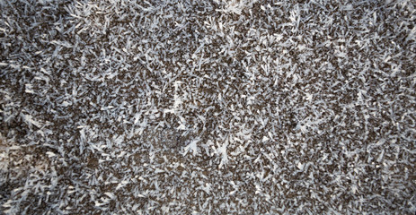 Ice patterns on winter glass . White color. Macro lens.