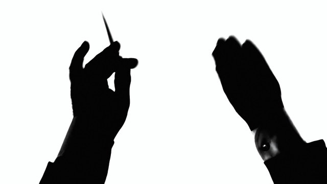 Orchestra leader white hands silhouette 2