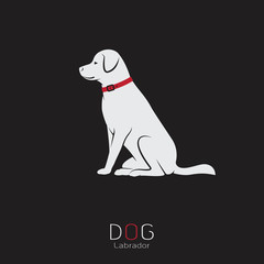 Vector image of an dog labrador on a black background