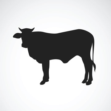 Vector of cow silhouette on a white background. Animals.