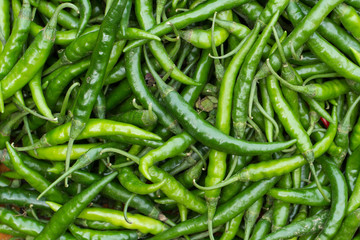 Long, hot green chili. Many green chili peppers