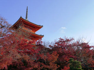 Obraz premium 世界遺産清水寺 三重塔 