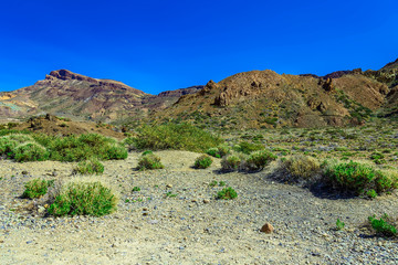 Mountains landscape on Tenerife island
