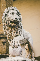 Marble Statue of a Lion in Piazza della Signoria in Florence