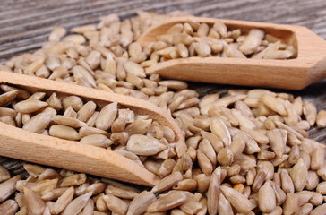 Sunflower seeds with spoon on wooden background