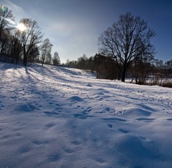 Winter landscape