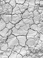 The arid soil