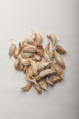 Fresh garlic on white background