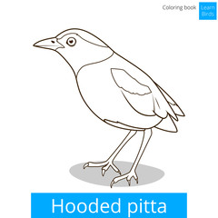 Hooded pitta bird learn birds coloring book vector