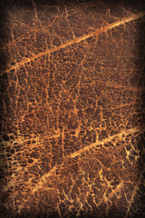 Old Natural Brown Cowhide Creased Coarse Vignette Grunge Texture Sample