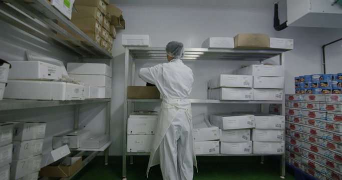 Workers packing boxes of fresh fish in a seafood processing factory