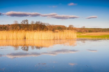 Beautiful small lake