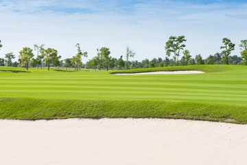 Obraz premium golf field