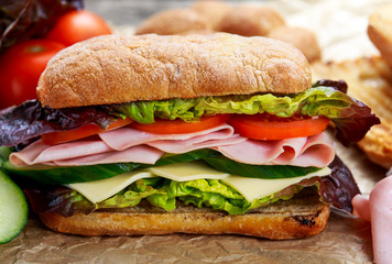 Grilled Sandwich with lettuce, slices of fresh tomatoes, cucumber, red onion, salami, ham and cheese.