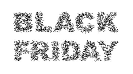 A duple flock of flying birds forms the words BLACK FRIDAY - part of timelapse, stop motion, gif animation