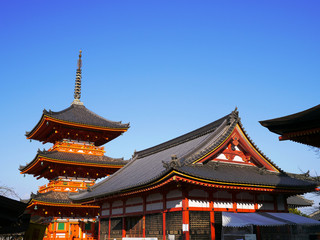 Fototapeta premium 清水寺の朝