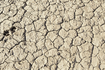 Dry soil by drought