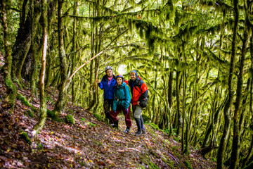 Three Hikers in boxwood forest