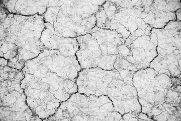 Dry soil by drought