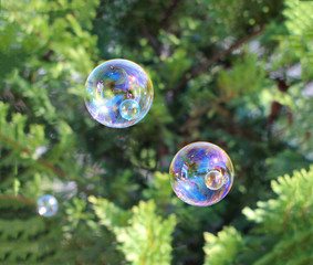 The rainbow bubbles from the bubble blower