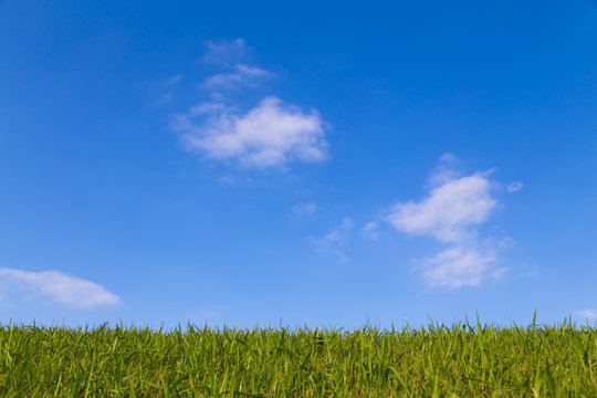 青空と芝生　背景素材