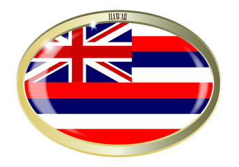 Hawaii State Flag Oval Button