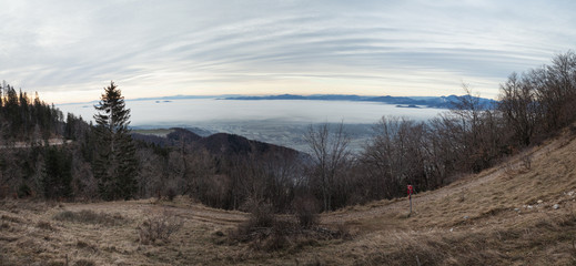 winter scene without snow; view towards the fog and clouds covered valley