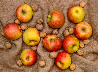 Naklejka na ściany i meble apples with nuts on a sack cloth