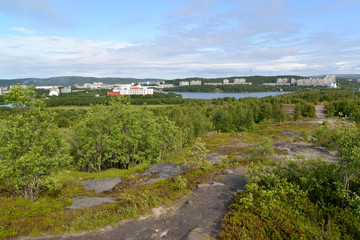 Fototapeta na wymiar Panorama of the Semenovsky lake and inhabited residential distri